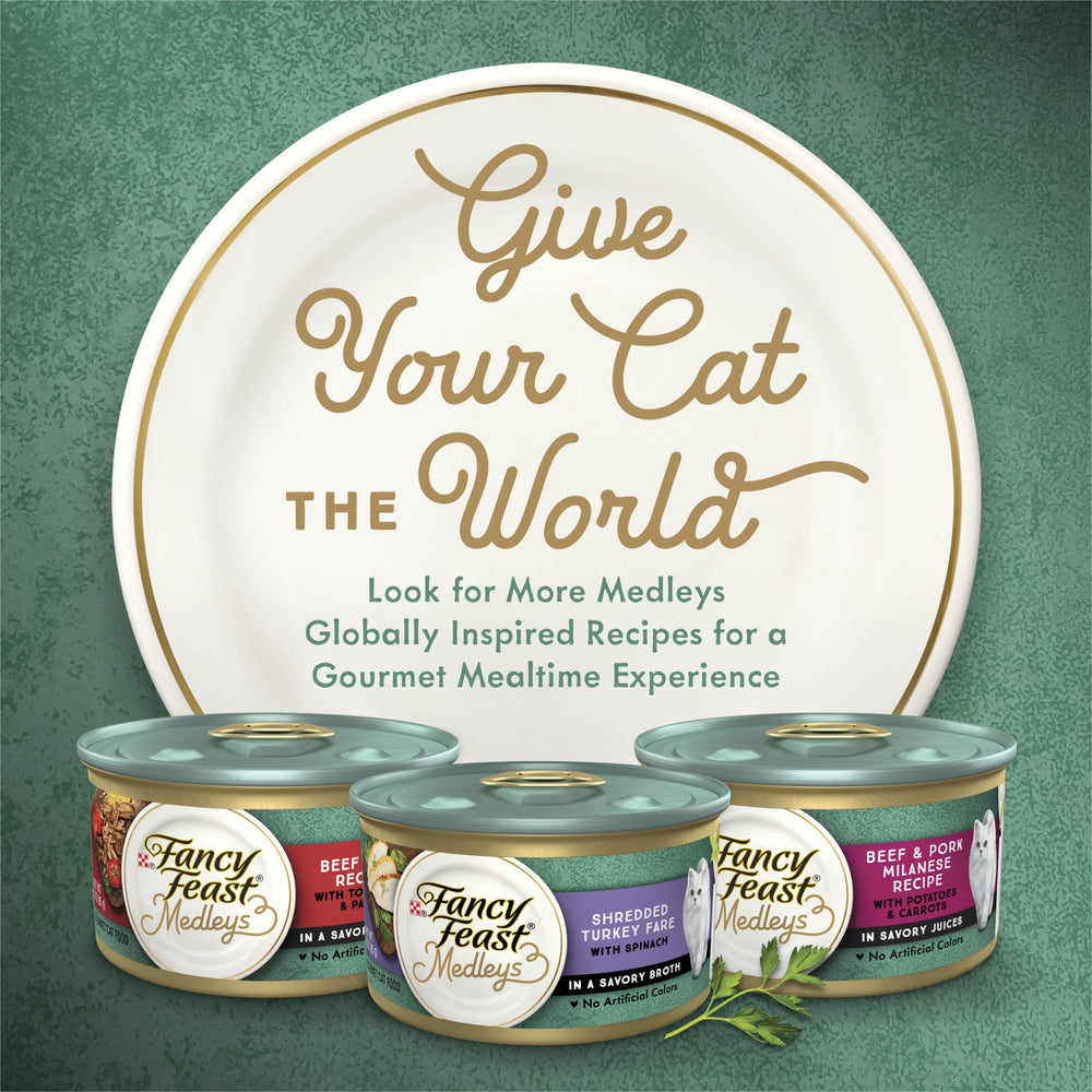 Fancy Feast Purina Medleys Florentine kitchen scene with cat enjoying mealtime