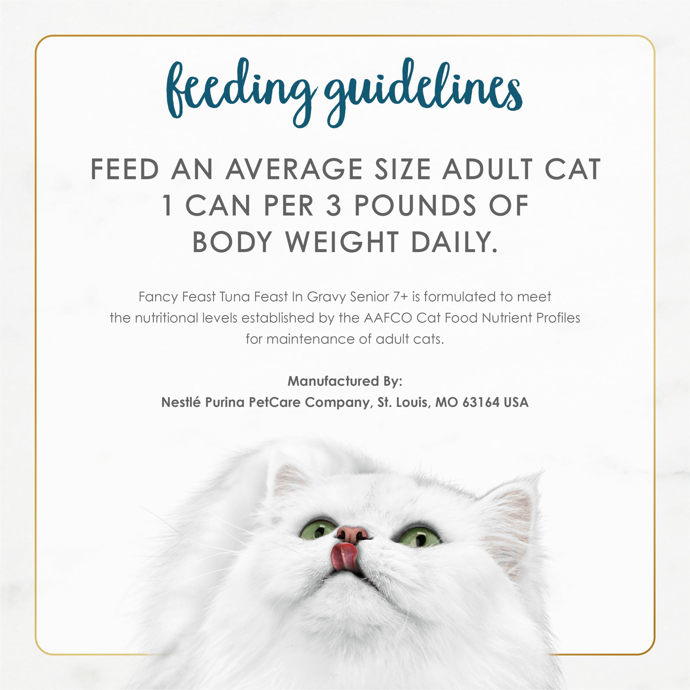Hand holding Fancy Feast 3 oz can showing single-serve size