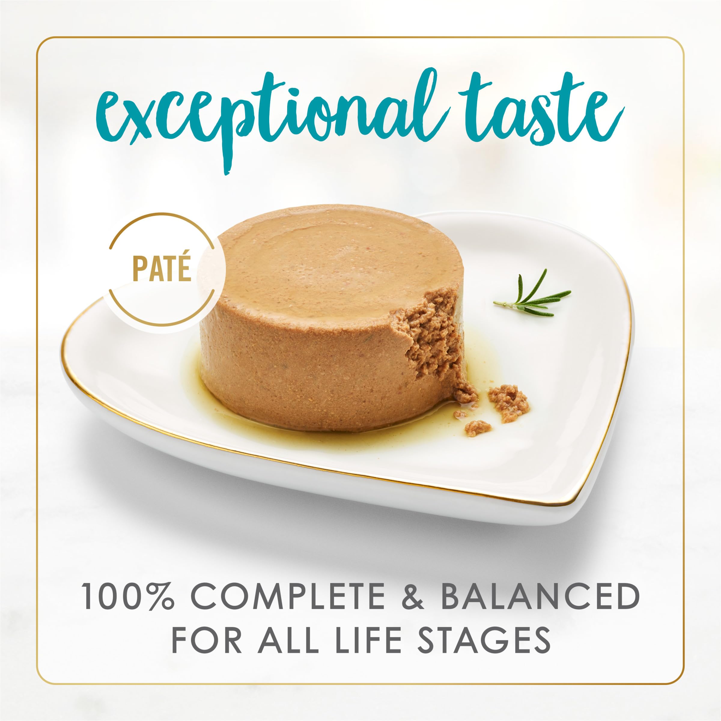 Fancy Feast textura paté cercana, aspecto suave y apetitoso