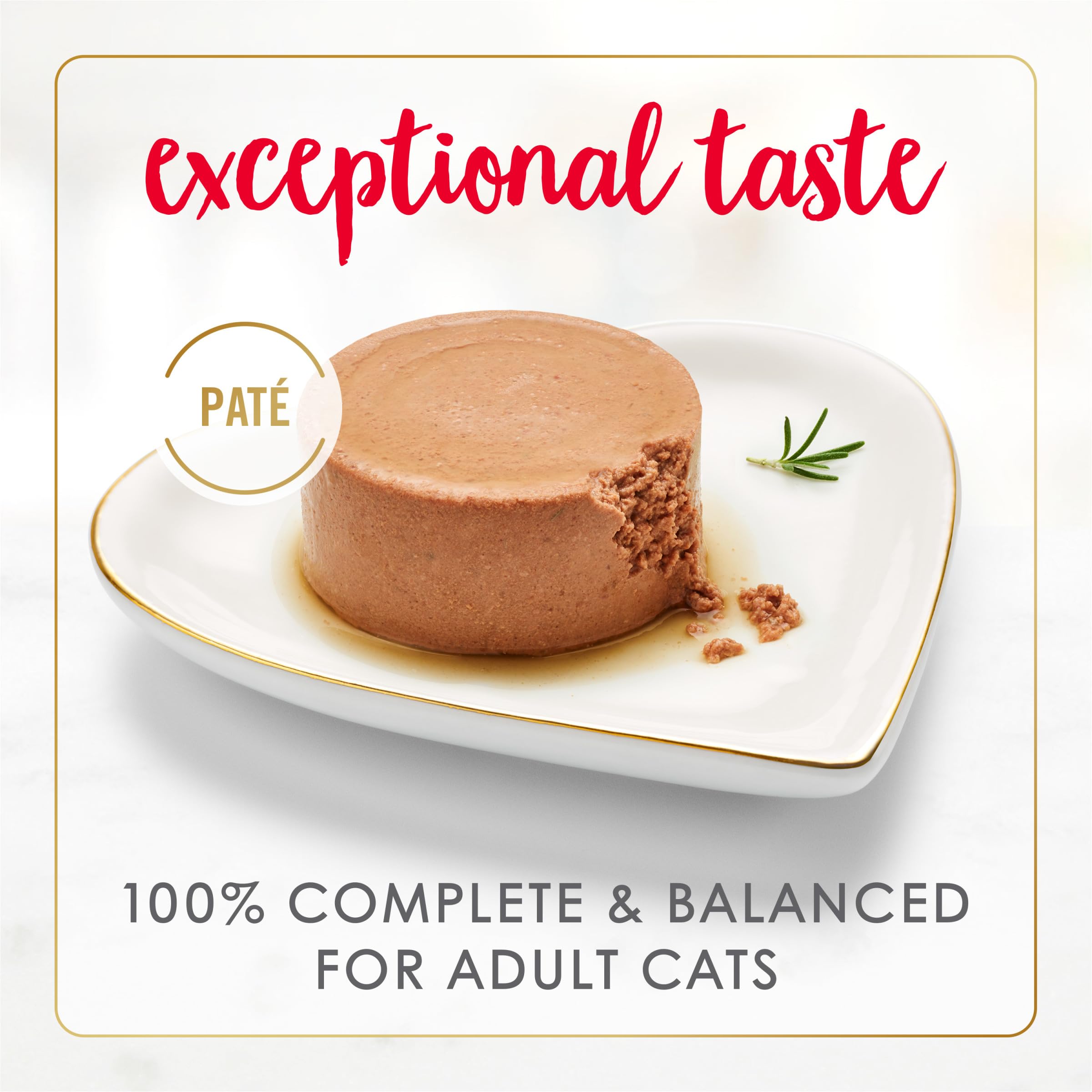 Fancy Feast primer plano de la textura paté que facilita la ingesta