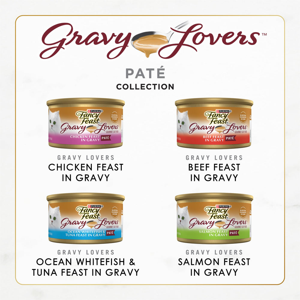 Fancy Feast textura de paté en salsa en primer plano, apetitoso y nutritivo