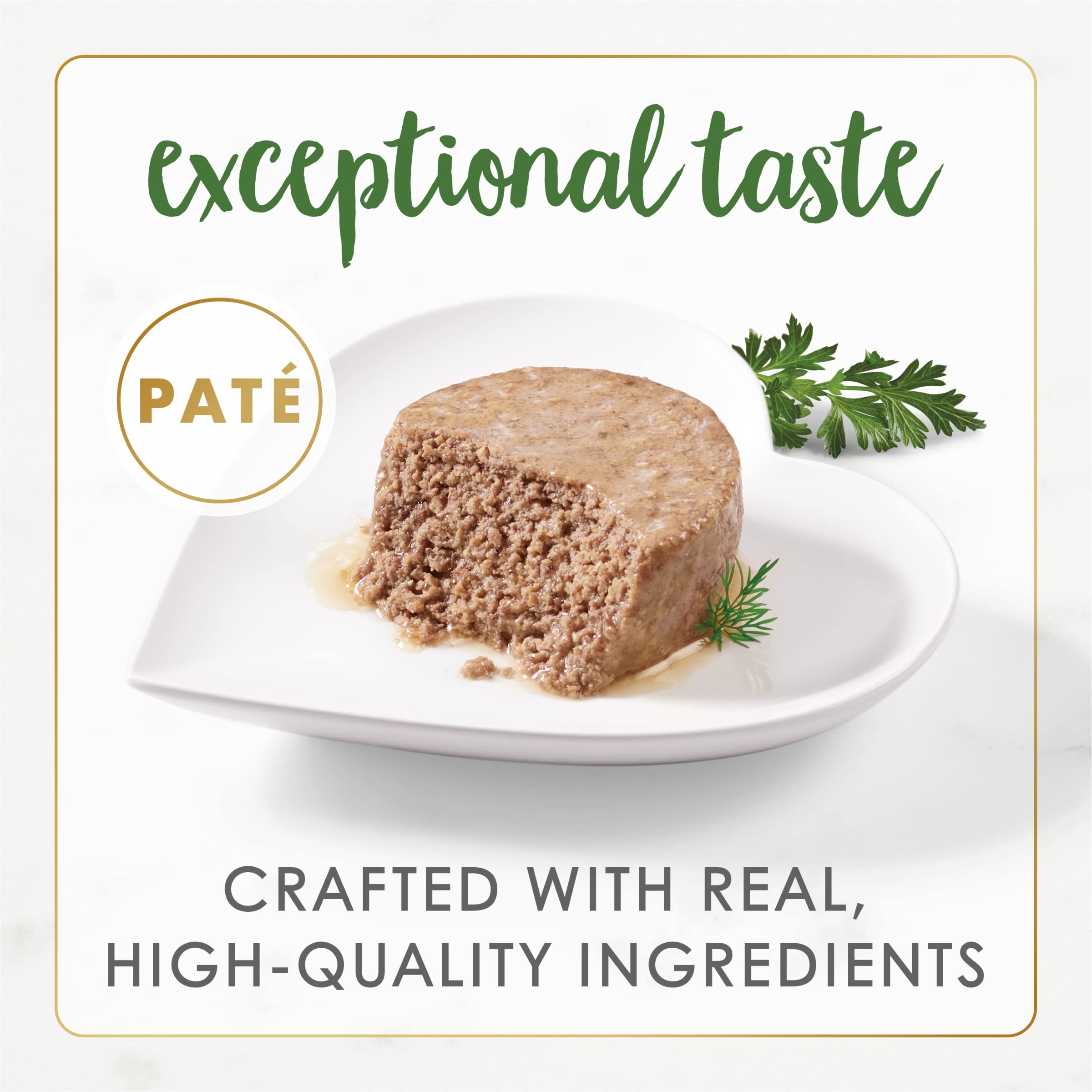 Fancy Feast textura del paté en primer plano para apetito y facilidad