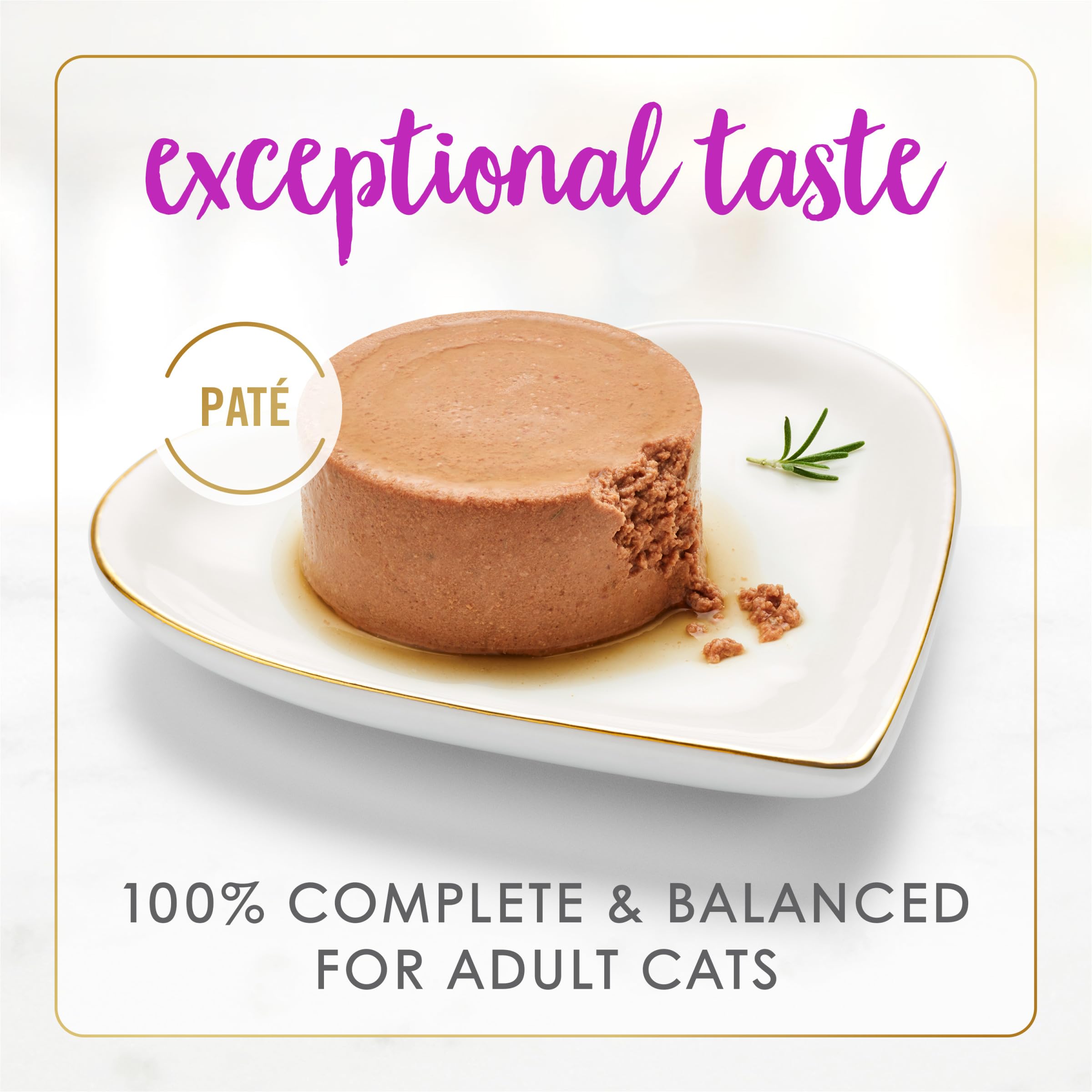 Fancy Feast textura de pate en close-up para apetito fácil y suave