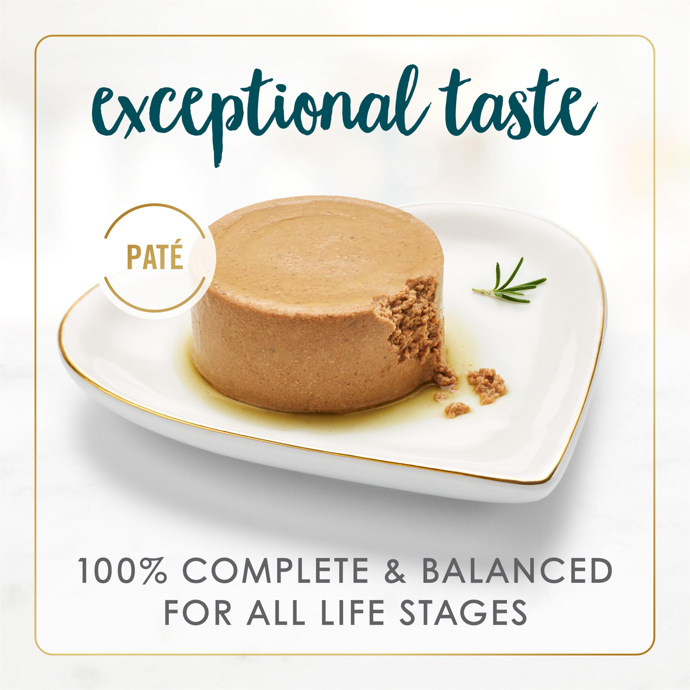 Fancy Feast textura pate en primer plano para apetito atraído