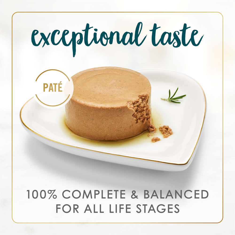 Fancy Feast textura pate en primer plano para apetito atraído