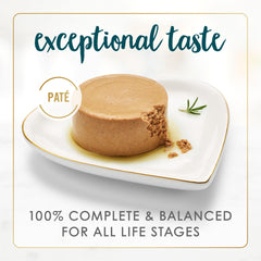 Fancy Feast textura pate en primer plano para apetito atraído