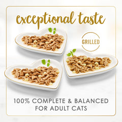 Fancy Feast close-up trozos de pavo tierno con queso cheddar real
