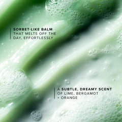 farmacy Green Clean papaya extract close-up with fruit, illustrating gentle exfoliation benefit