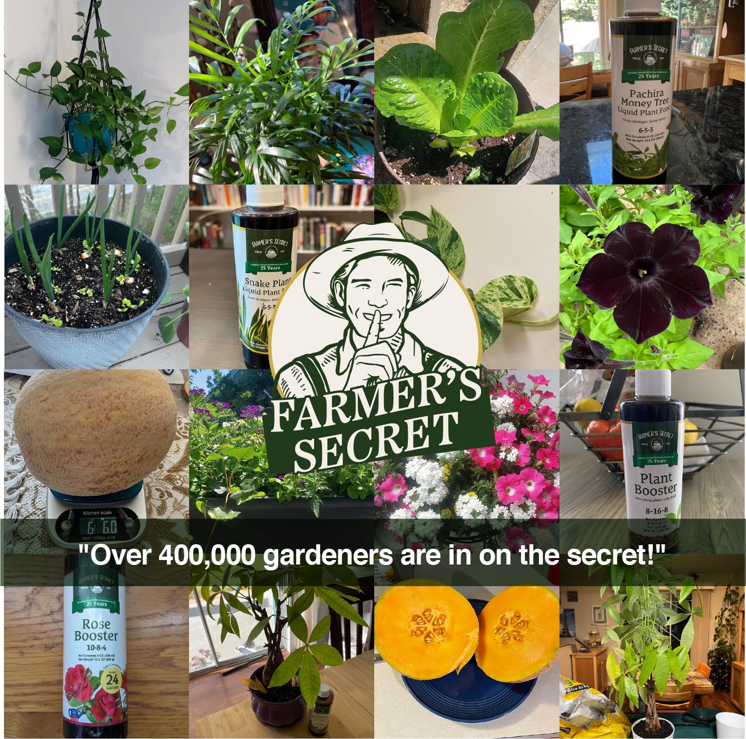 Resultado en jardín usando Farmer's Secret mostrando césped más verde