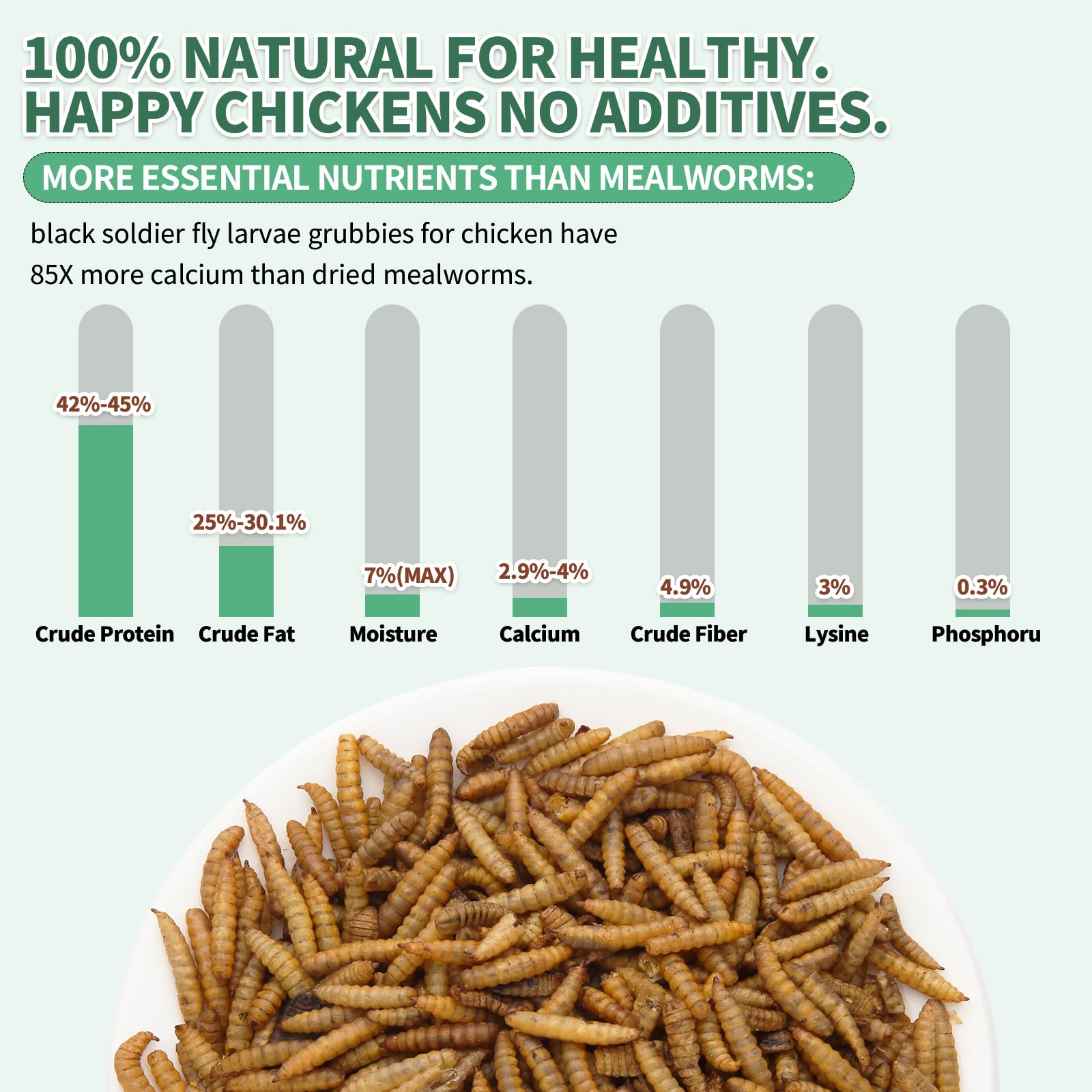 FCI GRUBS larvas textura crujiente primer plano alta densidad nutricional