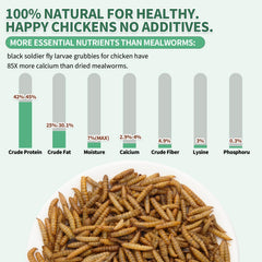 FCI GRUBS larvas textura crujiente primer plano alta densidad nutricional