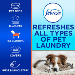Febreze en uso lavando cama de mascota para eliminar olores fuertes eficazmente