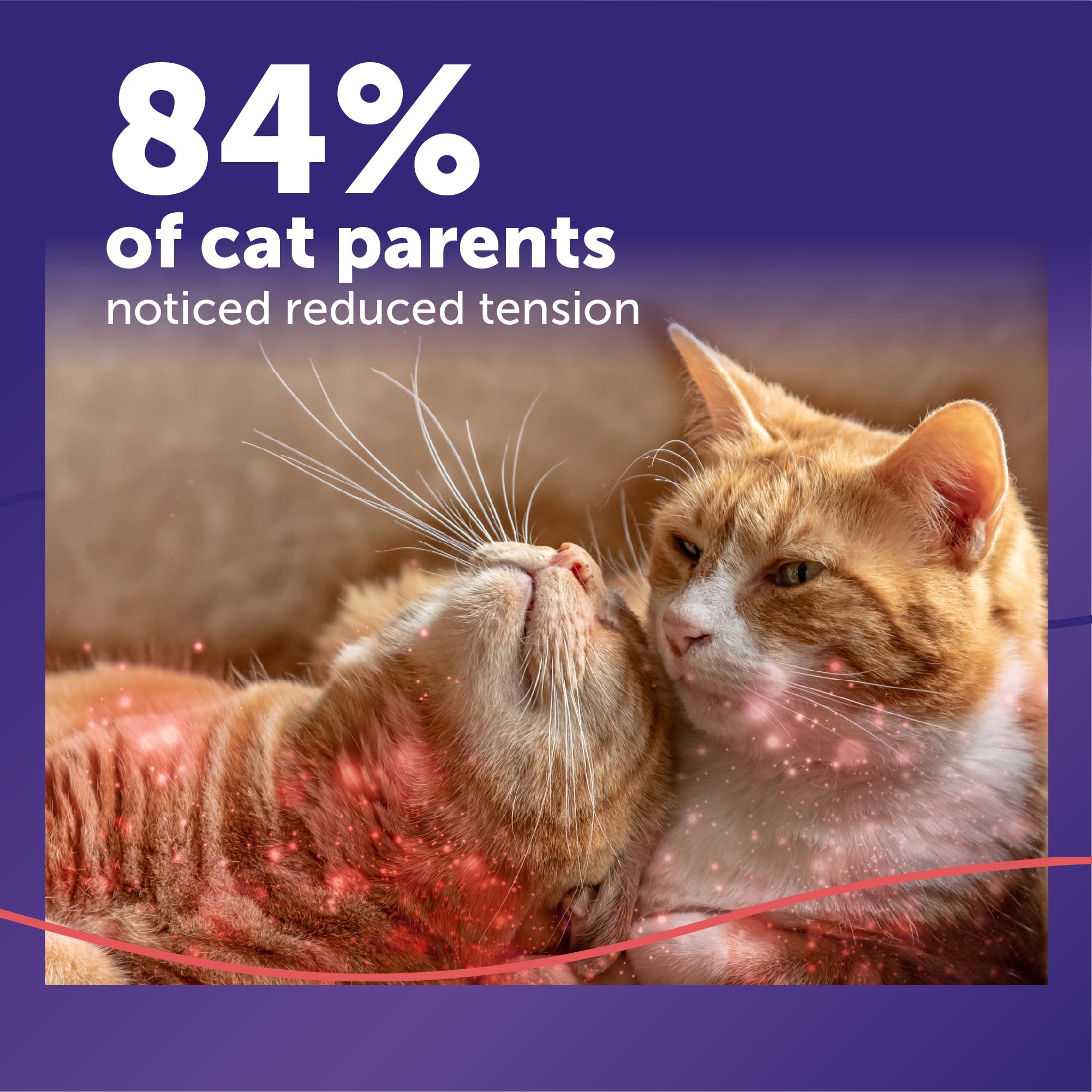 FELIWAY diffuser plugged into outlet providing continuous calming support