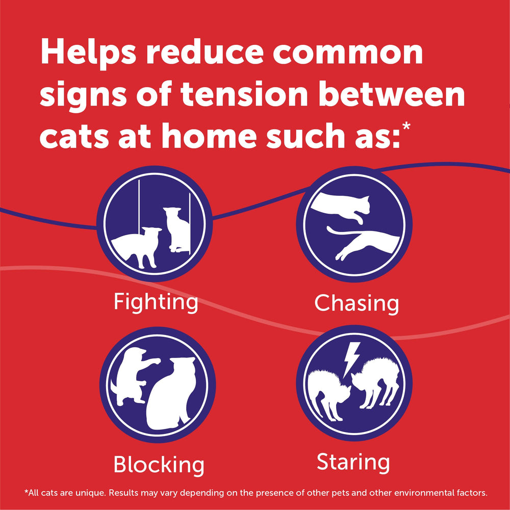 FELIWAY MultiCat placed in living room demonstrating shared space coverage