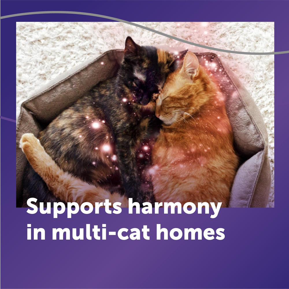 FELIWAY recambio junto a regla para comparar tamaño y capacidad