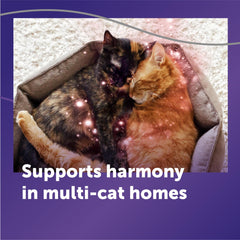 FELIWAY recambio junto a regla para comparar tamaño y capacidad