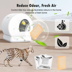 Fenkabs gel textura en primer plano demostrando absorción y fragancia