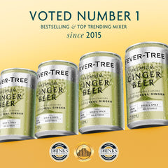 Fever-Tree Ginger Beer can in hand demonstrates single-serve convenience and scale