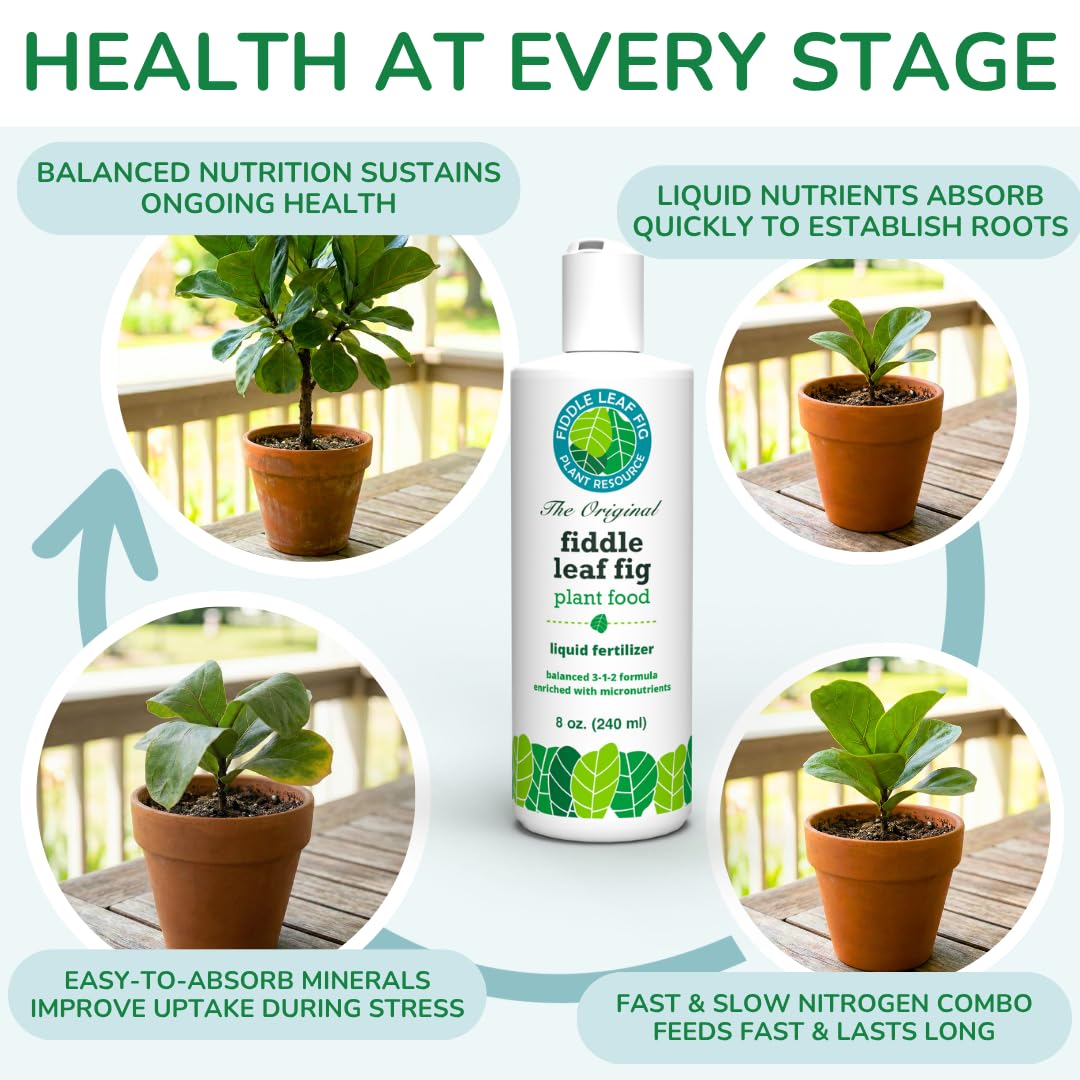 Fiddle Leaf Fig Plant Food bottle staged on shelf for home storage convenience