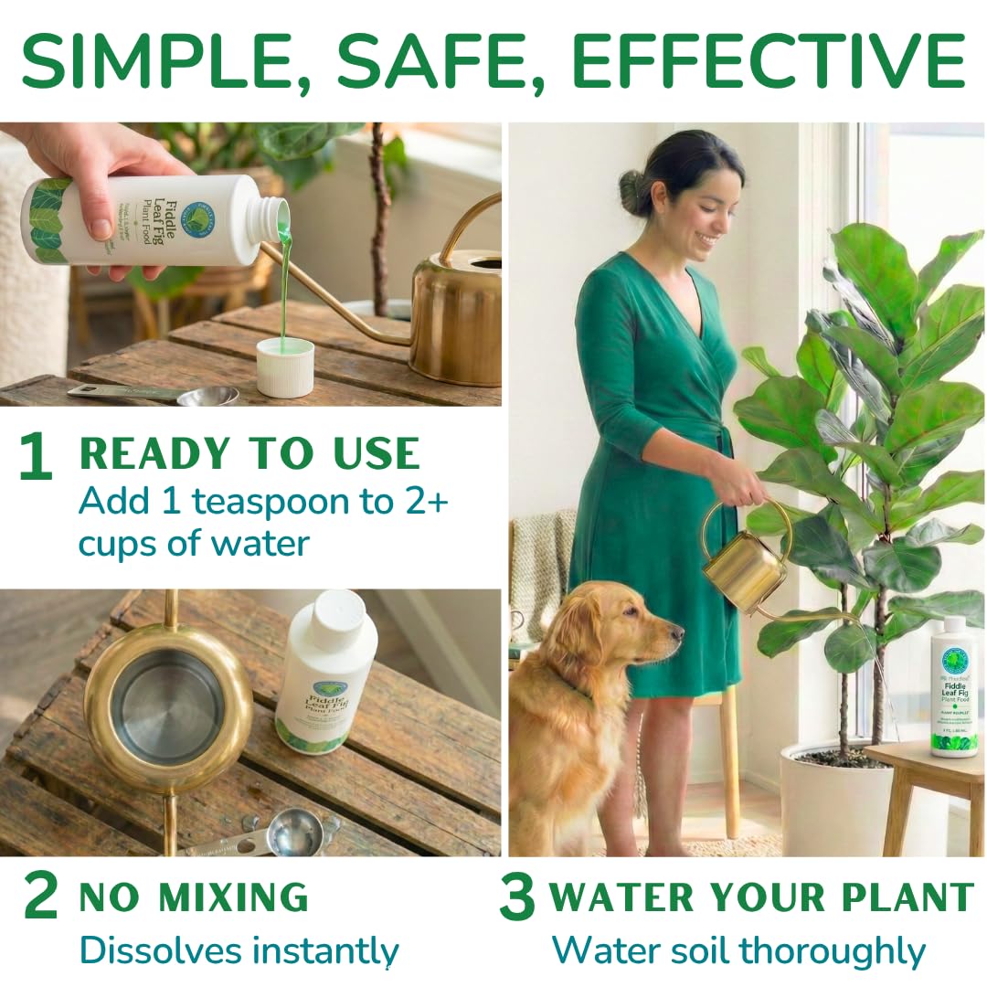 Fiddle Leaf Fig Plant Food webinar and e-book access screenshot for plant education