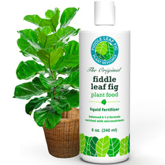 Fiddle Leaf Fig Plant Food front label showing brand and usage benefits