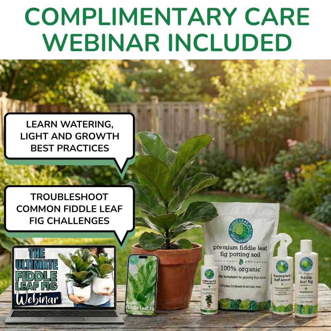 Fiddle Leaf Fig Plant Food lab-tested safety seal emphasizing certified quality