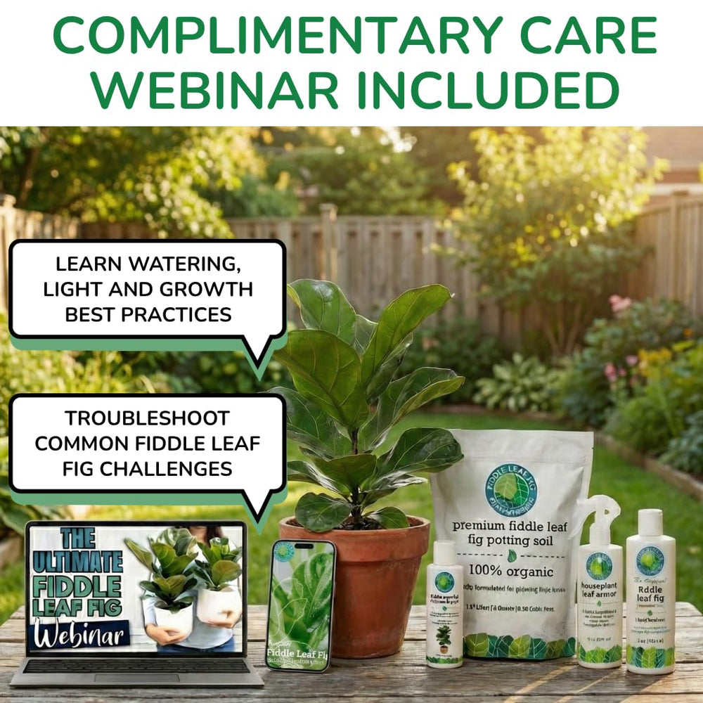 Fiddle Leaf Fig Plant Food lab-tested safety seal emphasizing certified quality