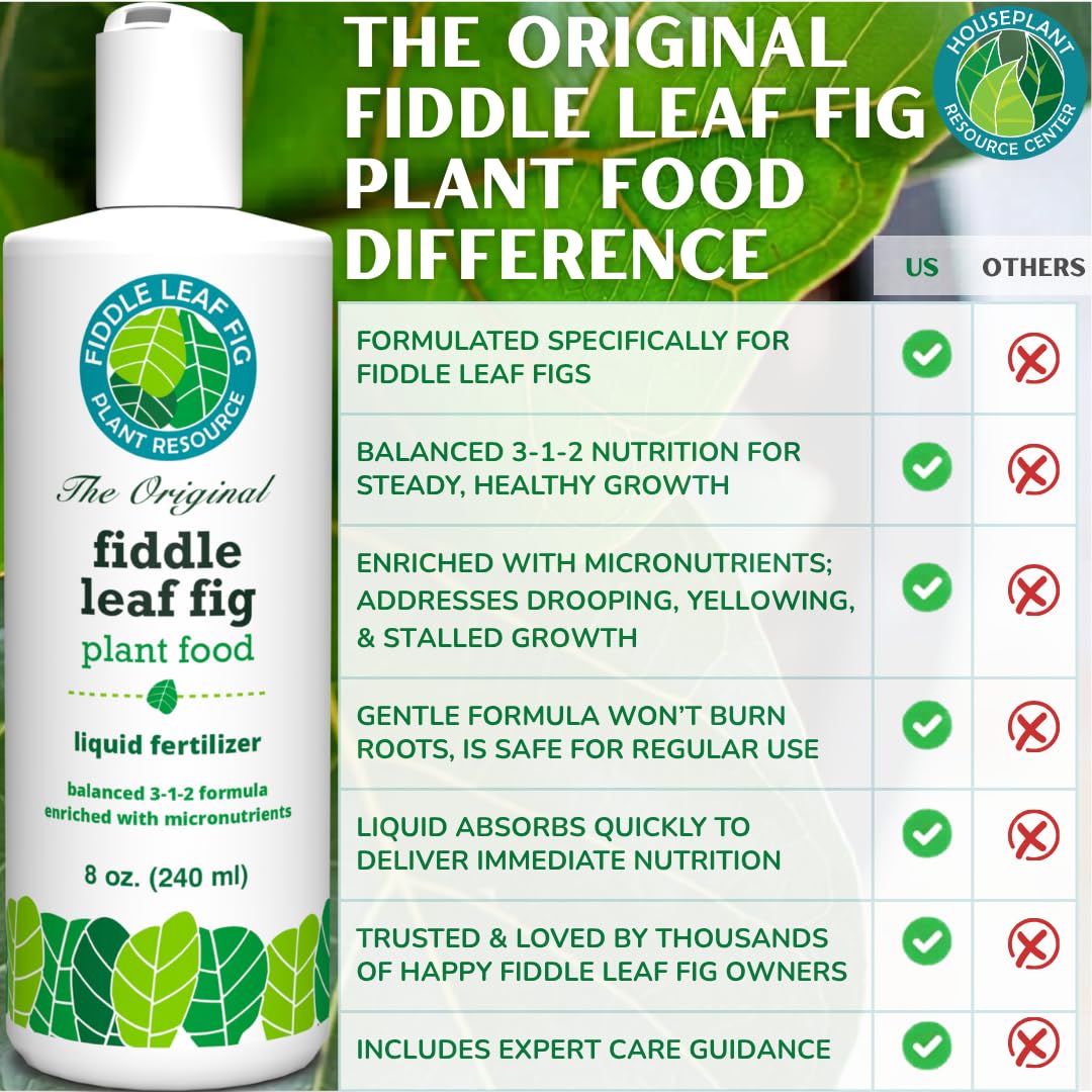 Fiddle Leaf Fig Plant Food bottle in hand to display 8 oz size comparison