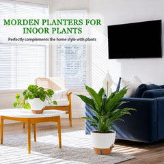 Fielda removable saucer tray showing leak-proof protection for floors