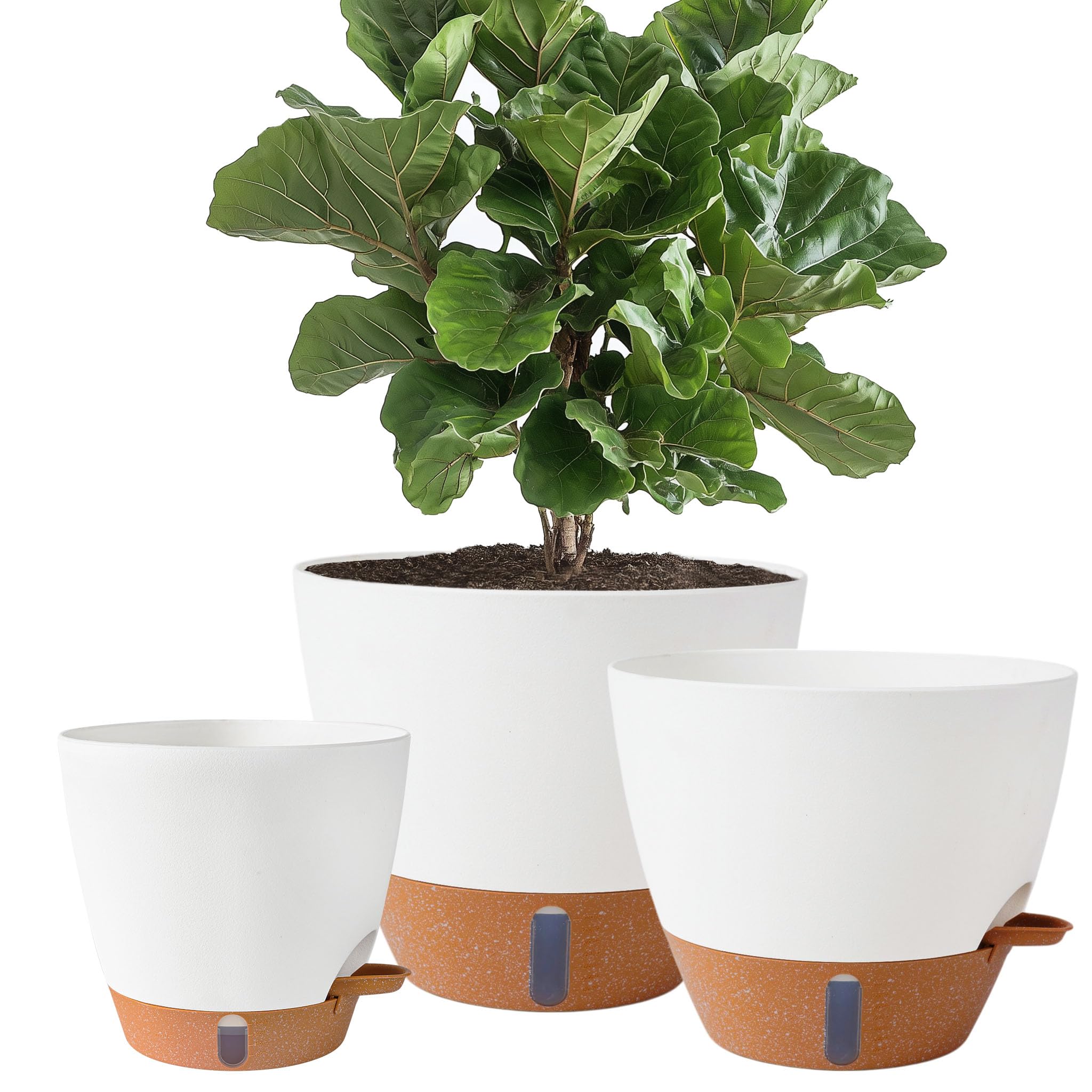 Fielda front view of 8,10,12 inch planters showing clean design and versatility