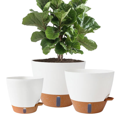 Fielda front view of 8,10,12 inch planters showing clean design and versatility