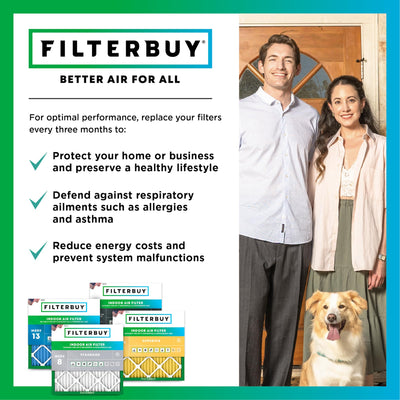 Filterbuy in living room setting indicating cleaner indoor air result