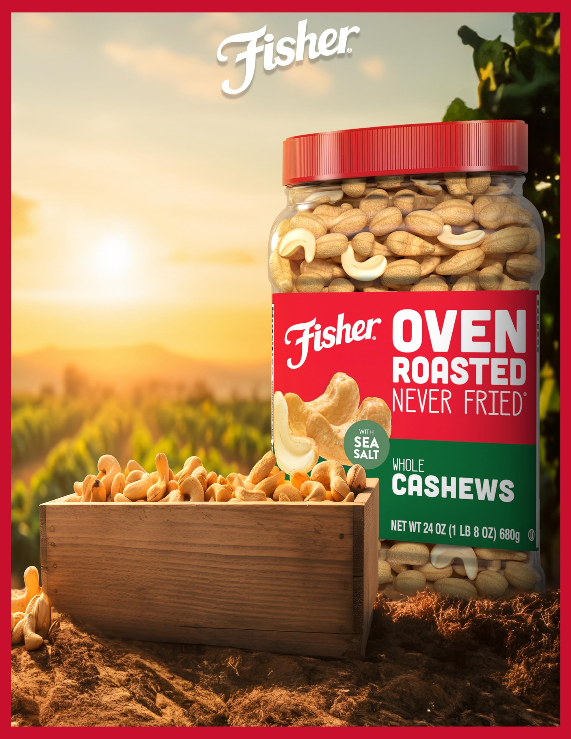 Fisher cashews in hand showing portion size and portable snack benefit
