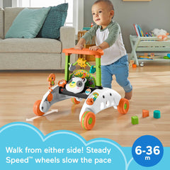 Fisher-Price primer plano de rueda Steady Speed para caminar seguro