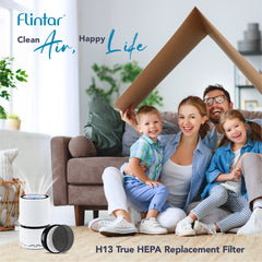 Flintar prefiltro mostrando malla, captura polvo y pelo eficazmente