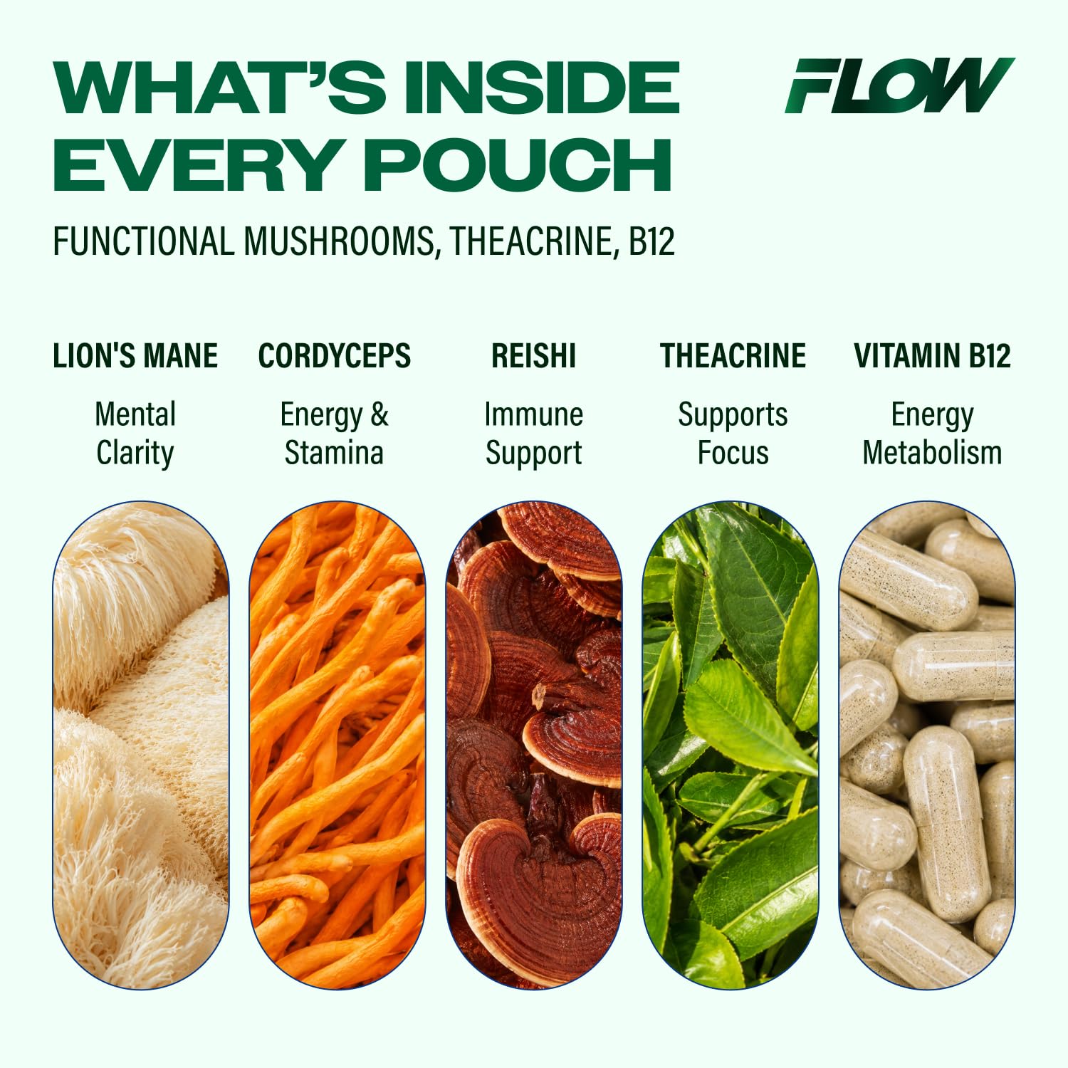 Flow Pouches caja abierta mostrando las 5 latas y 100 pouches disponibles