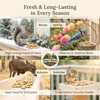 Forest Haven peanuts scattered in backyard attracting squirrels and birds