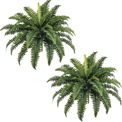 FOREST PRINCE front packaging showing two bundled faux ferns, protected for shipping and display