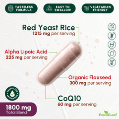 ForestLeaf primer plano de cápsulas vegetarianas mostrando textura y tamaño