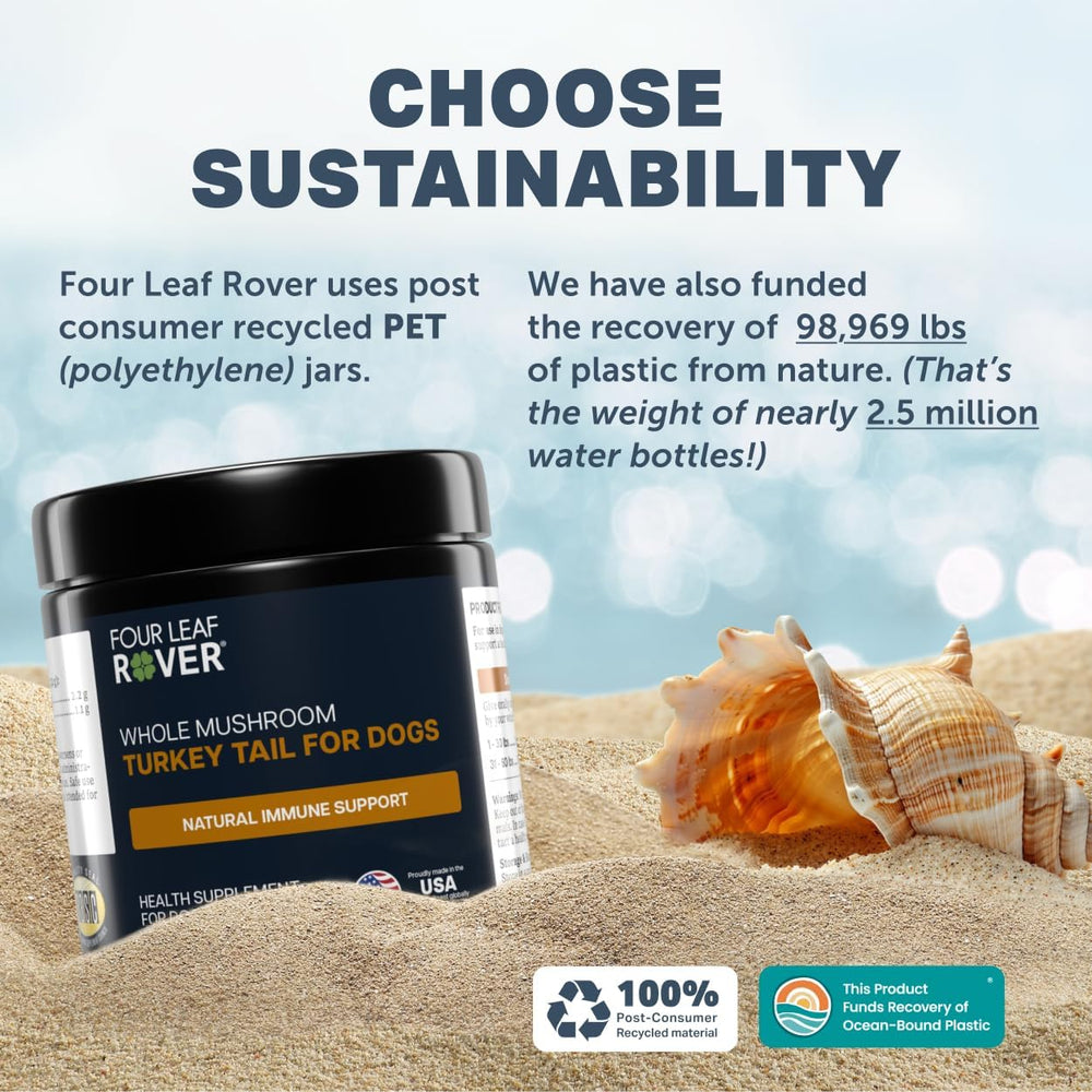Four Leaf Rover perro en paseo con dueño, bienestar integral apoyado