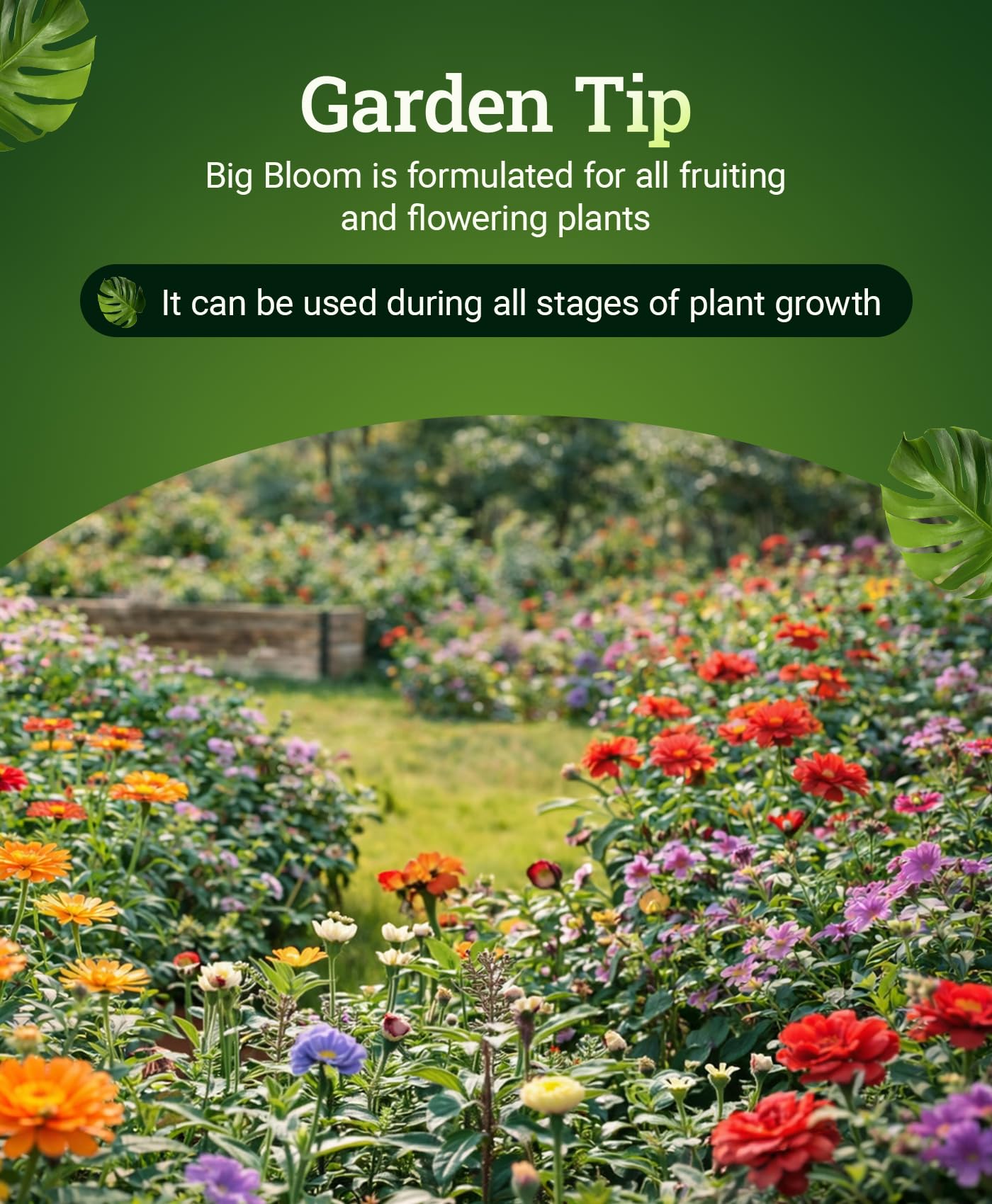 FoxFarm Big Bloom used on container garden delivering bloom support