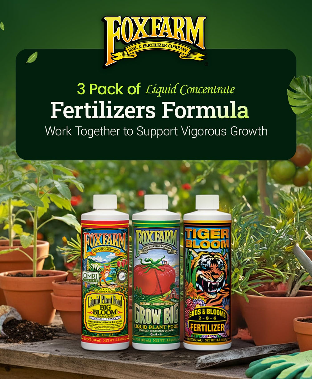 FoxFarm plantas sanas en macetas fertilizadas con el Soil Liquid Trio