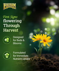FoxFarm Tiger Bloom etiqueta legible mostrando niveles de nutrientes