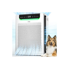 FreAire HAP607 front view showing sleek tower design and fast airflow
