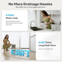 FreAire placed in basement reducing dampness and protecting belongings