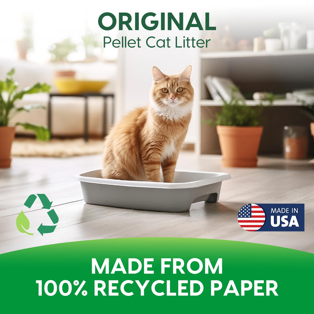 Fresh News pellets húmedos manteniendo forma, ayuda a limpieza rápida