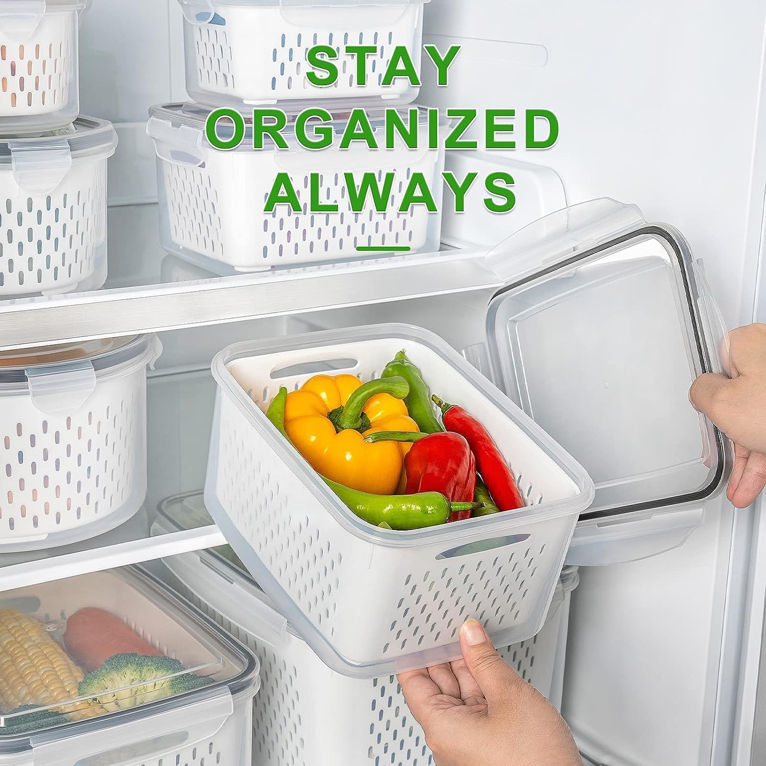 Freshmage caja grande con lechuga para conservar verduras frescas