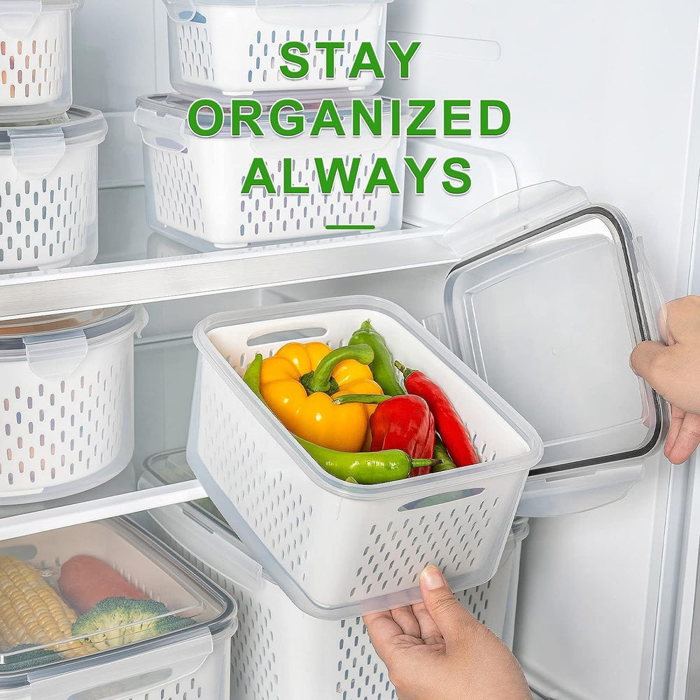 Freshmage caja grande con lechuga para conservar verduras frescas