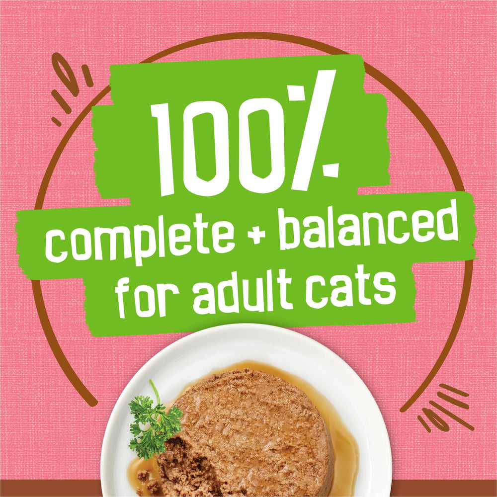 Friskies pull-tab can detail displaying easy-open feature for convenient serving