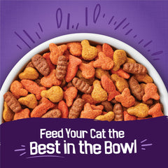 Friskies chicken-flavor kibbles in visible cat-friendly shapes